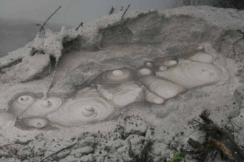 Nieuw-Zeeland 2011 - 0740